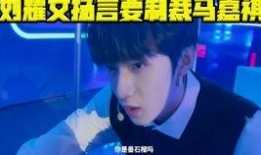 吃瓜娱乐爆料刘耀文视频,吃瓜娱乐背后的真相揭秘